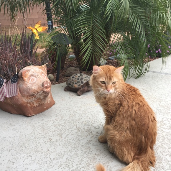 Meet your Posher, Michele - Picture 1 of 1